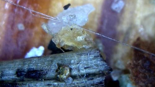 A Pinch of Mat Droppings (5)