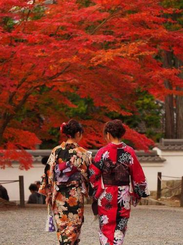 248681039_2876531395902647_2727785043205642520_n