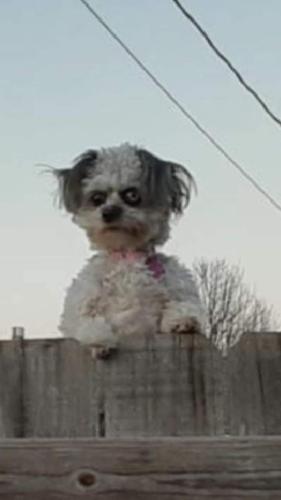 16:17:38 GMT-0500 (CDT)