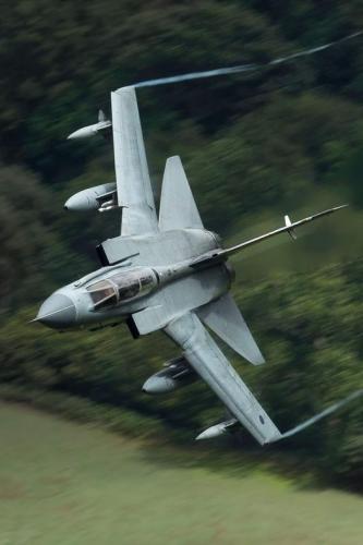 251732458_4526721044080747_8874815501878373776_n