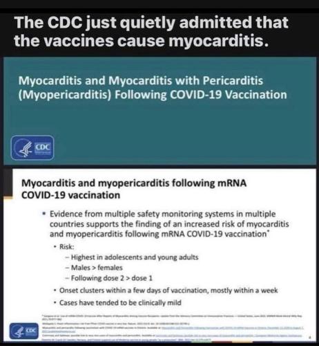 img - 2021-11-22T182009.578