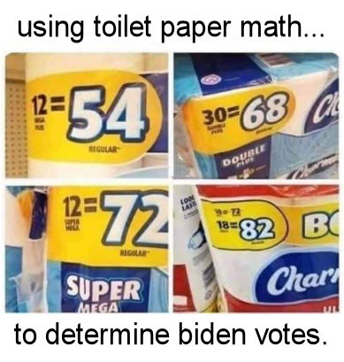 voterfraud245