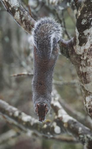 tumblr_1a3dd03c99539bad9c033ac2a18c849b_9219383b_640