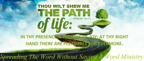 8142b7436d0d3f063c13fb6a29524ec2_1024