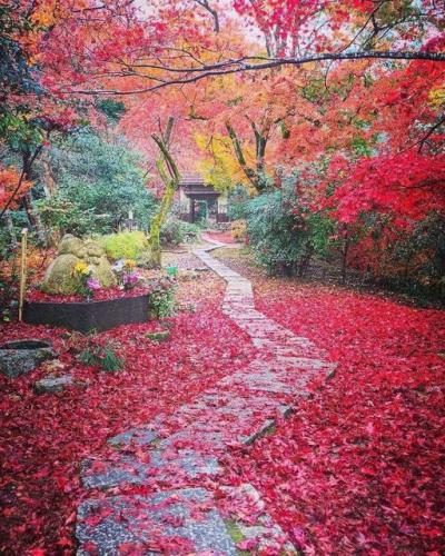 253715482_431655584997116_518404315425330461_n