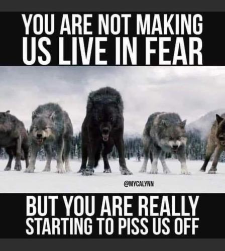 image_1636477146.575