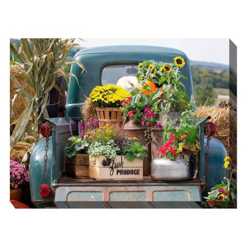 252629950_4345908425531772_4321491200456410484_n