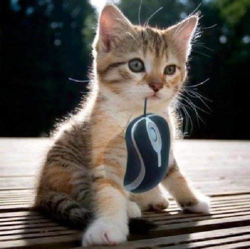 FB_IMG_1638193190817