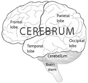 17:32:24 GMT-0600 (CST)