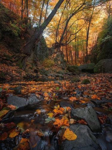 258867726_395051252045525_8330082905734263780_n