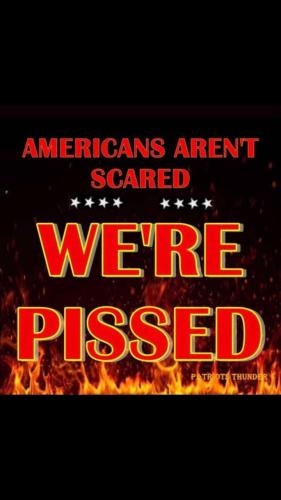 Screenshot_20211113-075706_Wimkin Uncensored