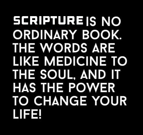 15:31:38 GMT-0900 (AKST)