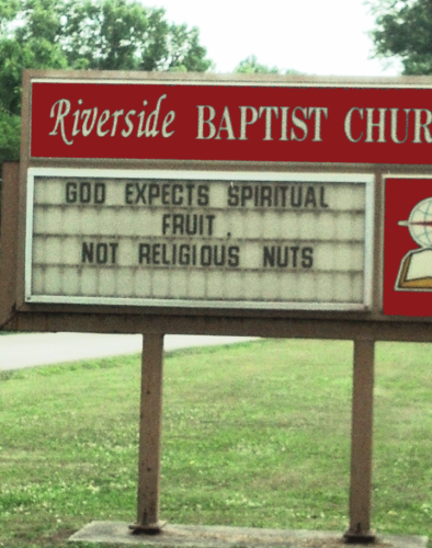 sketch-1638118411824