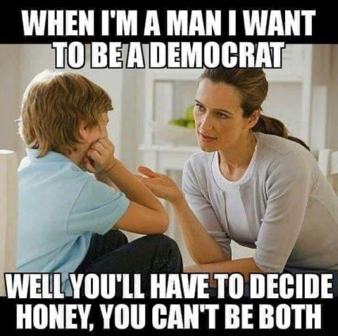 democrats477