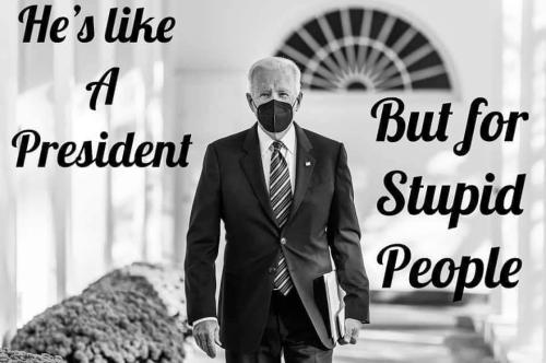 FB_IMG_1637383376670