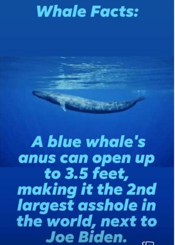 256791349_10216292343701234_8518723081433196257_n