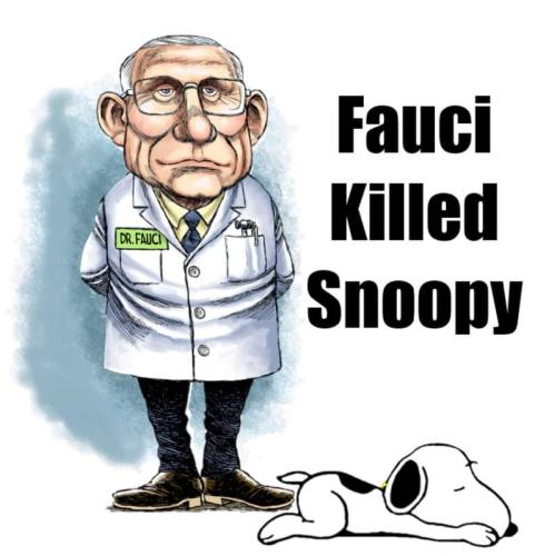 FB_IMG_1635600207935