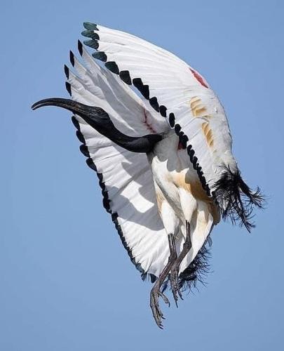 258516748_1165444757194915_6956005451312541972_n