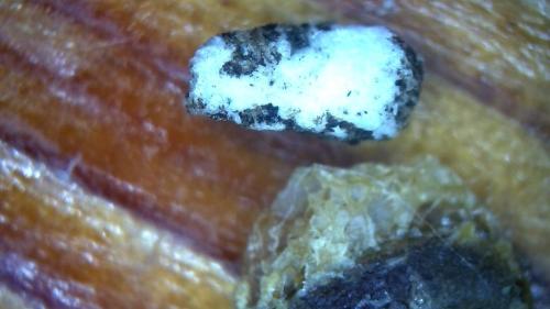 Buffer Released Carbon Node Pockets (13)