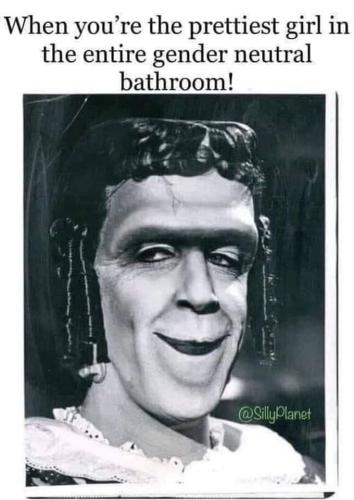 image_1638108692.951