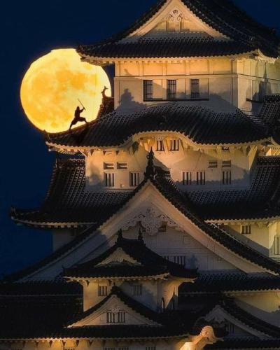 257808419_298926338760228_4405283192177819757_n