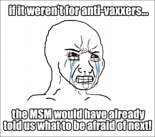 msm163
