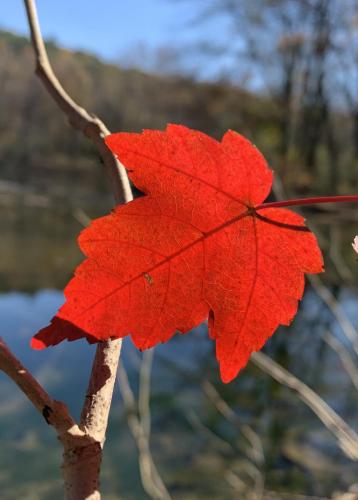 E7B2F616-369E-4FDC-A8D1-4A484374B974