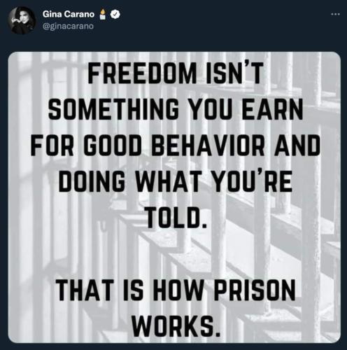 FB_IMG_1636815377403