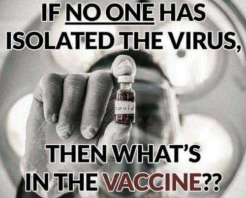 vaccine479