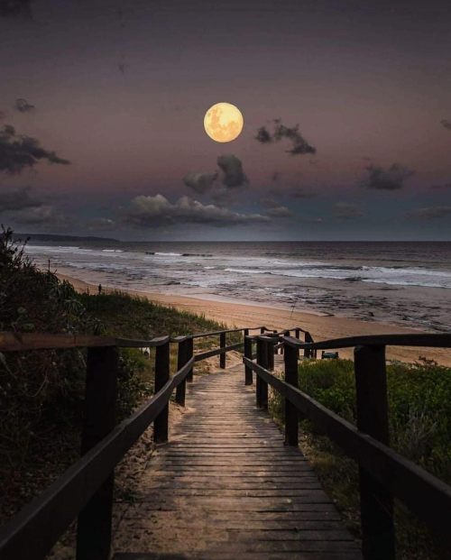 Screenshot_20210916-204552~2