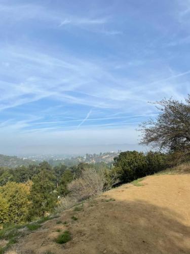 22:38:55 GMT-0600 (CST).image