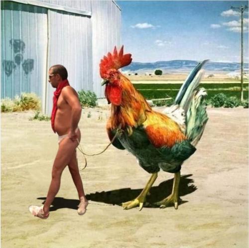 Screenshot_20211125-182428_DuckDuckGo