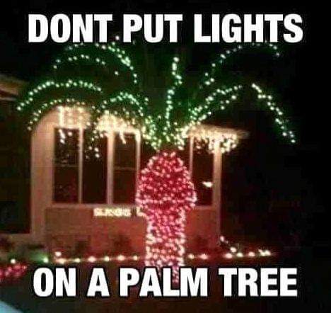 FB_IMG_1637774716580