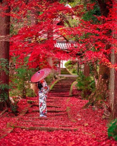 252279644_427247728771235_7989074636793314882_n