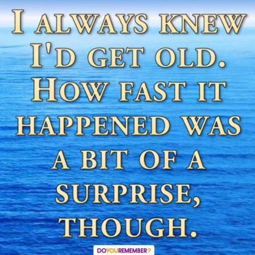 FB_IMG_1637632708465