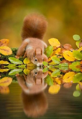 tumblr_odl1dkvh4E1qat5pio1_540