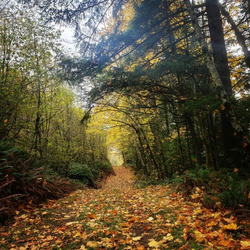 IMG_20191026_184004_417