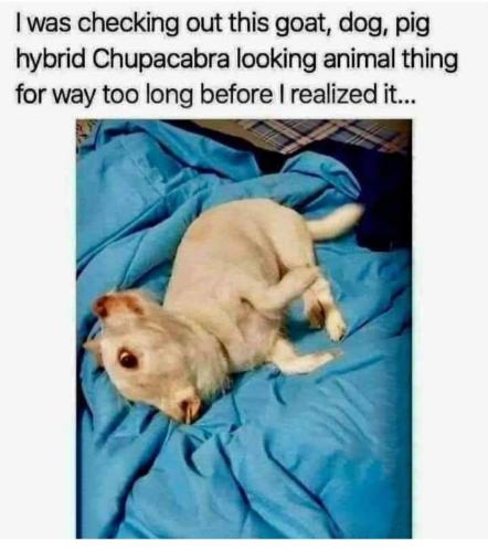 239319948_6636938089664912_6421897696735342956_n