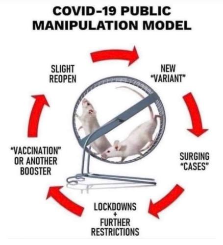 FB_IMG_1638130394156