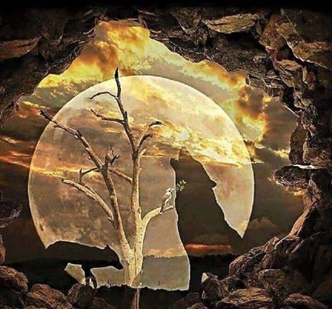 19:37:25 GMT-0600 (CST)