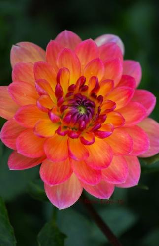 05:24:46 GMT-0600 (CST)