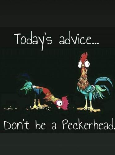 FB_IMG_1635378437758