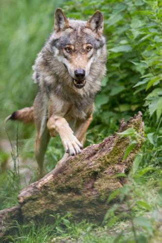 07:33:22 GMT-0600 (CST)