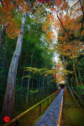 264832536_6548270958577901_7965681352695915997_n