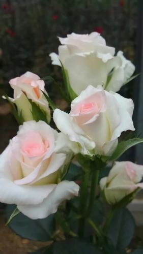 19:58:45 GMT-0600 (CST)