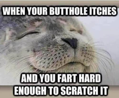 butt hole farting