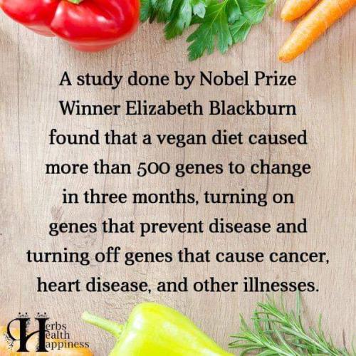 03:29:09 GMT-0600 (CST)