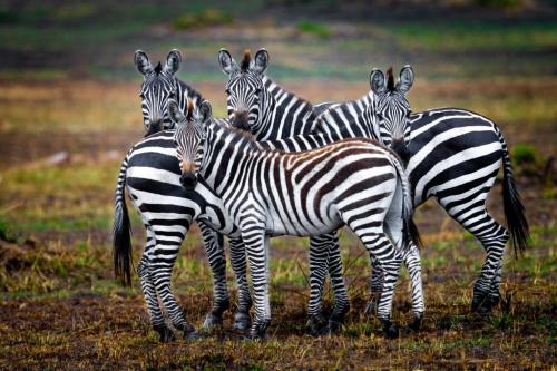 250953756_3026217254292845_1010276406743507186_n