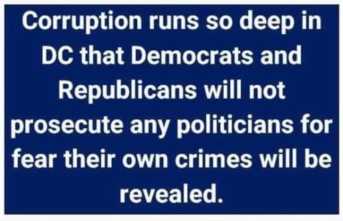 image_1639838013.854~2