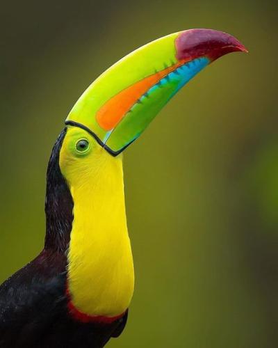 265216371_472213020949043_1056851773947867118_n